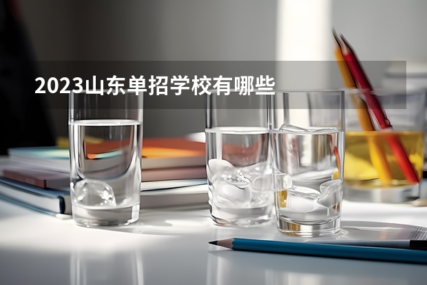 2023山东单招学校有哪些