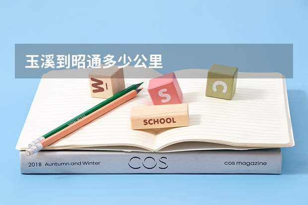 玉溪到昭通多少公里