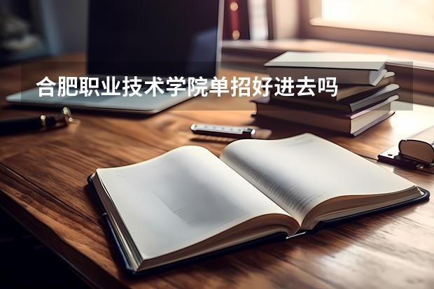 合肥职业技术学院单招好进去吗