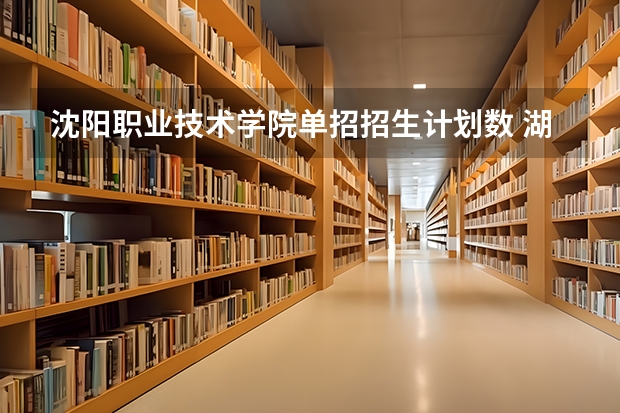 沈阳职业技术学院单招招生计划数 湖南工艺美术职业学院单招专业及招生计划