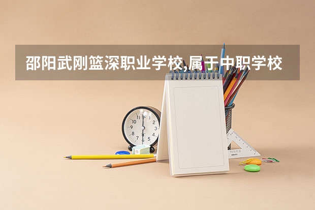 邵阳武刚篮深职业学校,属于中职学校,是吗?