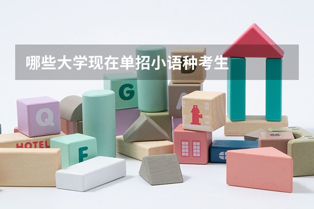 哪些大学现在单招小语种考生
