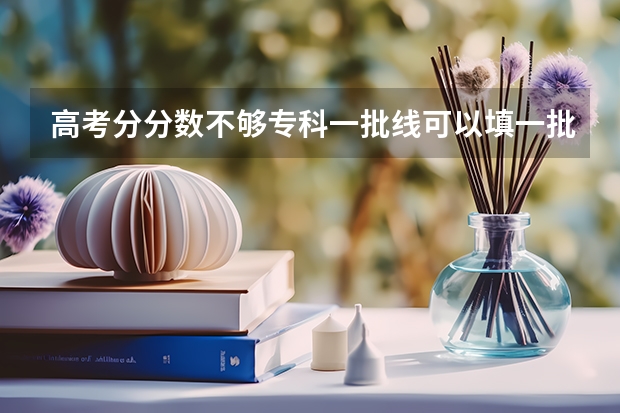 高考分分数不够专科一批线可以填一批志愿吗？填报系统不会拒绝吧。