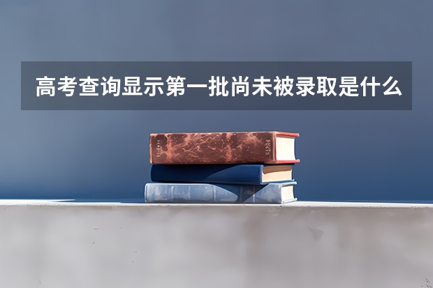 高考查询显示第一批尚未被录取是什么意思