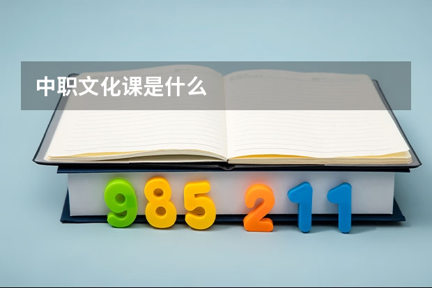 中职文化课是什么