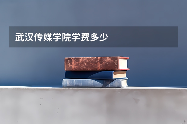 武汉传媒学院学费多少