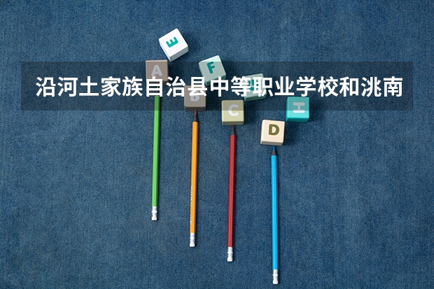 沿河土家族自治县中等职业学校和洮南市职业教育中心哪个好
