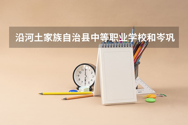沿河土家族自治县中等职业学校和岑巩县中等职业学校哪个好
