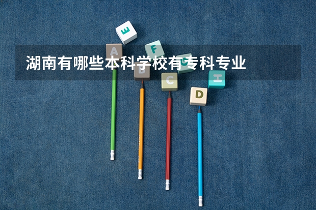 湖南有哪些本科学校有专科专业