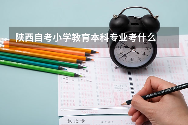 陕西自考小学教育本科专业考什么