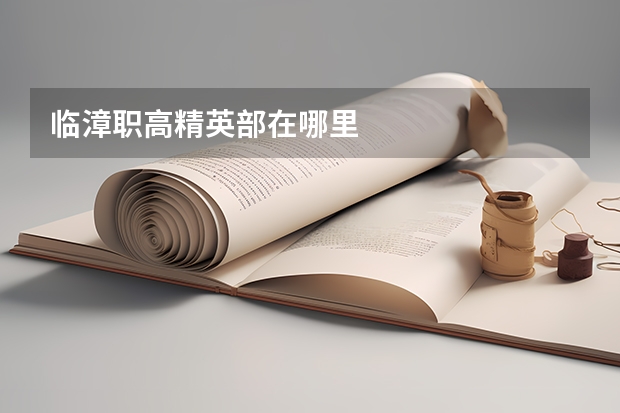 临漳职高精英部在哪里