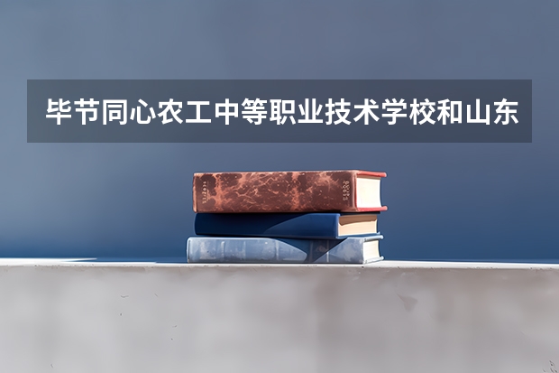 毕节同心农工中等职业技术学校和山东省潍坊商业学校哪个好