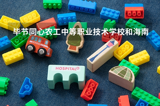 毕节同心农工中等职业技术学校和海南省财税学校哪个好