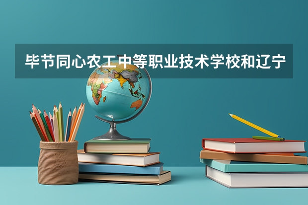 毕节同心农工中等职业技术学校和辽宁文化艺术学校哪个好