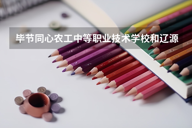 毕节同心农工中等职业技术学校和辽源职业技术学院哪个好
