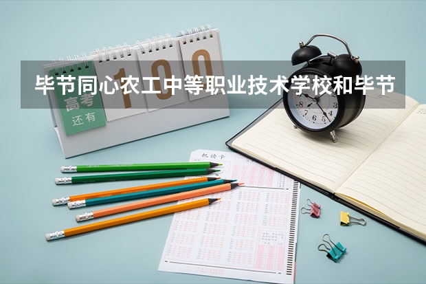 毕节同心农工中等职业技术学校和毕节市特殊教育学校哪个好
