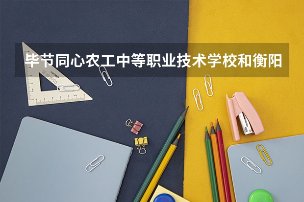 毕节同心农工中等职业技术学校和衡阳涉外职业学校有限公司哪个好