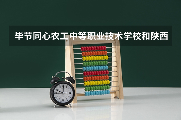 毕节同心农工中等职业技术学校和陕西艺术职业学院（中职）哪个好