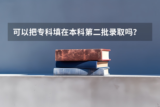 可以把专科填在本科第二批录取吗？