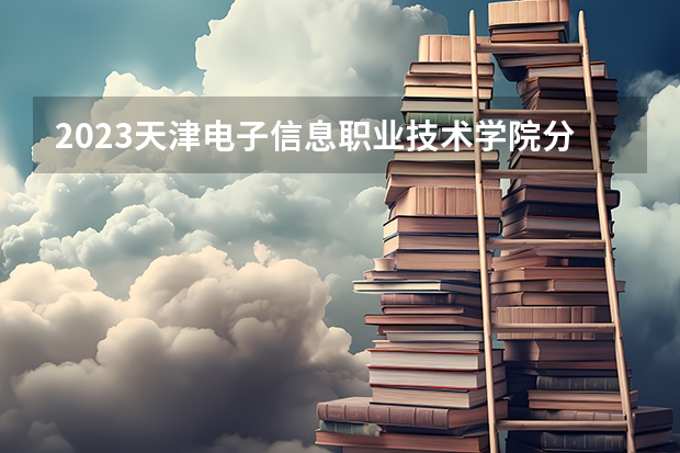 2023天津电子信息职业技术学院分数线最低是多少