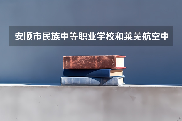 安顺市民族中等职业学校和莱芜航空中等专业学校哪个好