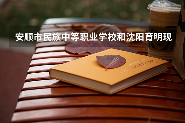 安顺市民族中等职业学校和沈阳育明现代职业学校哪个好