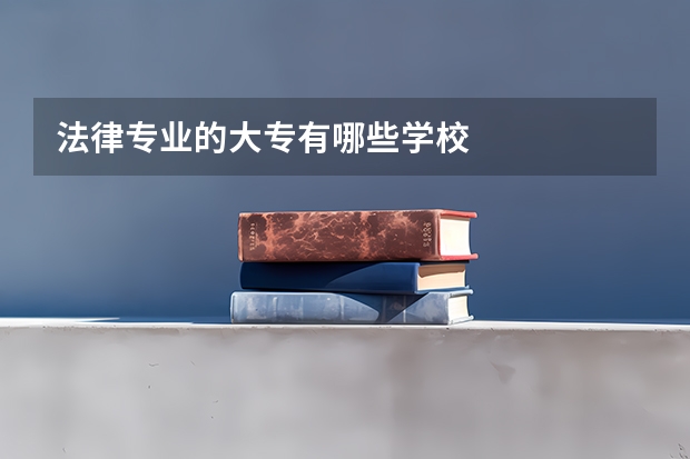 法律专业的大专有哪些学校