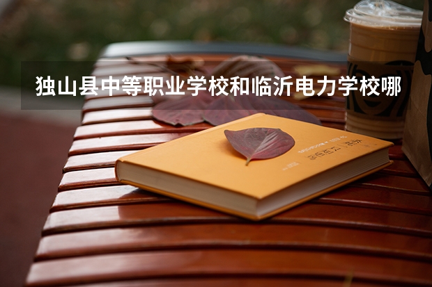 独山县中等职业学校和临沂电力学校哪个好
