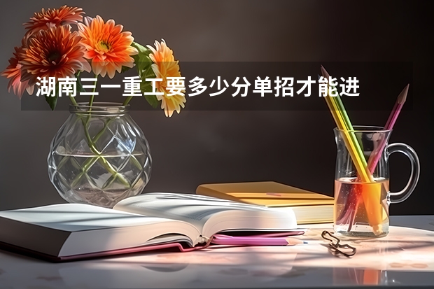 湖南三一重工要多少分单招才能进