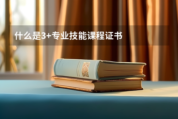 什么是3+专业技能课程证书