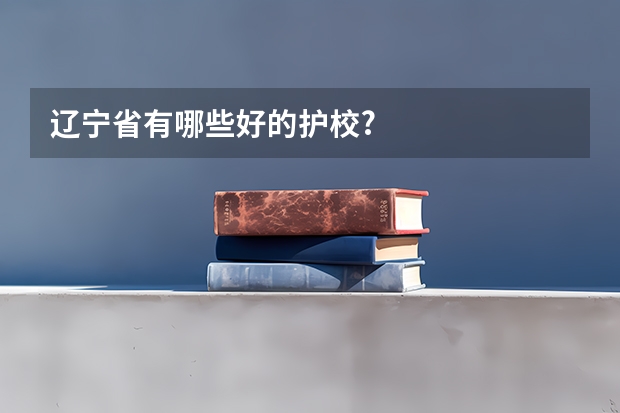 辽宁省有哪些好的护校?