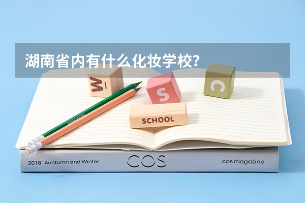 湖南省内有什么化妆学校？