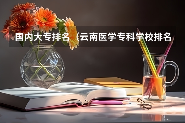 国内大专排名（云南医学专科学校排名）