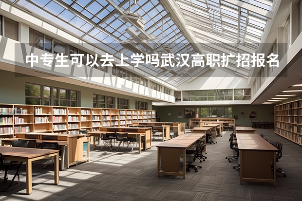 中专生可以去上学吗武汉高职扩招报名时间是几月份