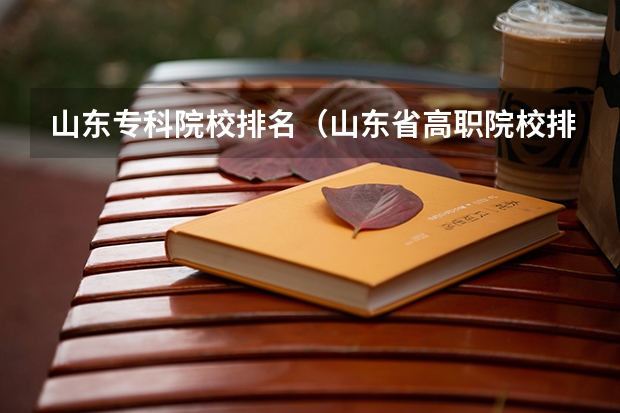 山东专科院校排名(山东省高职院校排名)