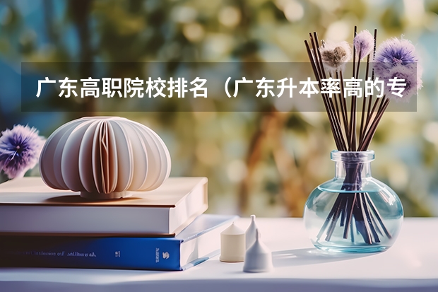 广东高职院校排名（广东升本率高的专科学校排名）
