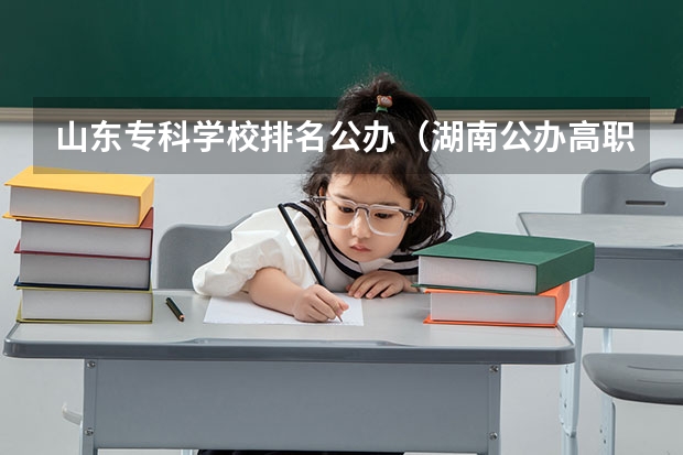 山东专科学校排名公办（湖南公办高职院校排名）
