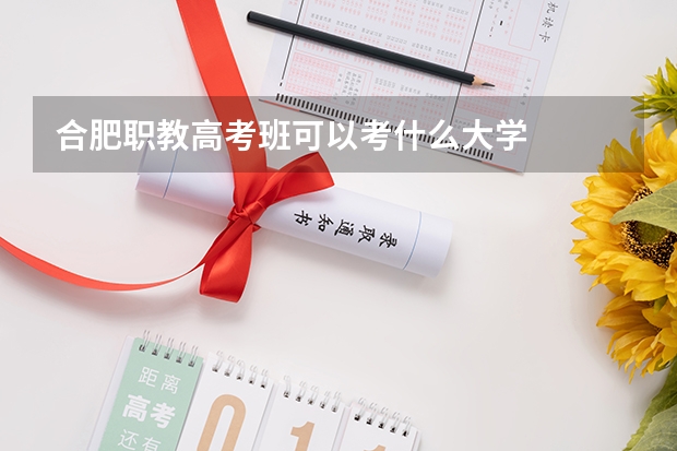 合肥职教高考班可以考什么大学