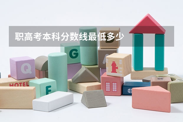 职高考本科分数线最低多少