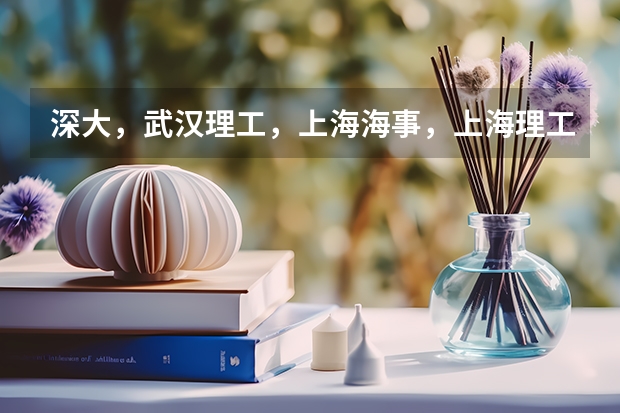 深大,武汉理工,上海海事,上海理工经济类哪个好