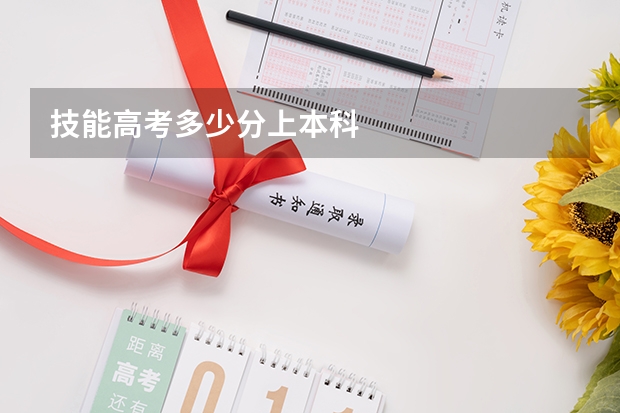 技能高考多少分上本科