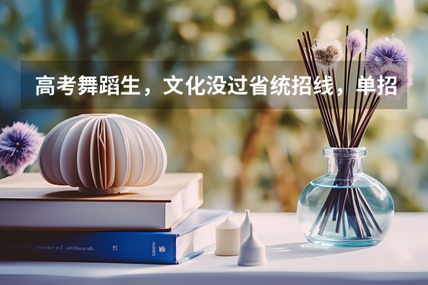 高考舞蹈生,文化没过省统招线,单招成绩过了,能报这个学校吗?