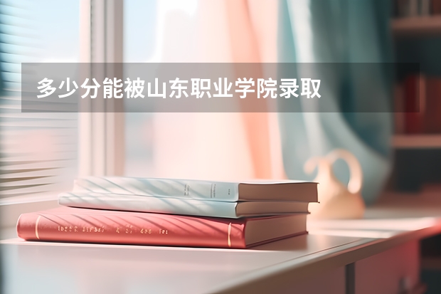多少分能被山东职业学院录取
