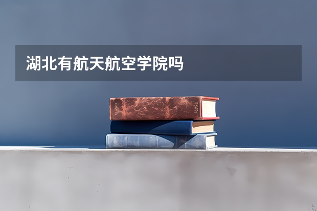湖北有航天航空学院吗