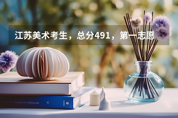 江苏美术考生,总分491,第一志愿金陵科技学院,能上的可能性大吗?