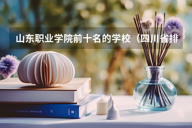山东职业学院前十名的学校（四川省排名前十的职业学校）