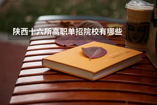 陕西十六所高职单招院校有哪些