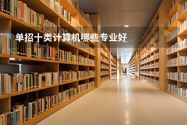 单招十类计算机哪些专业好