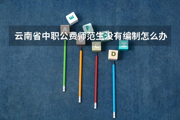 云南省中职公费师范生没有编制怎么办
