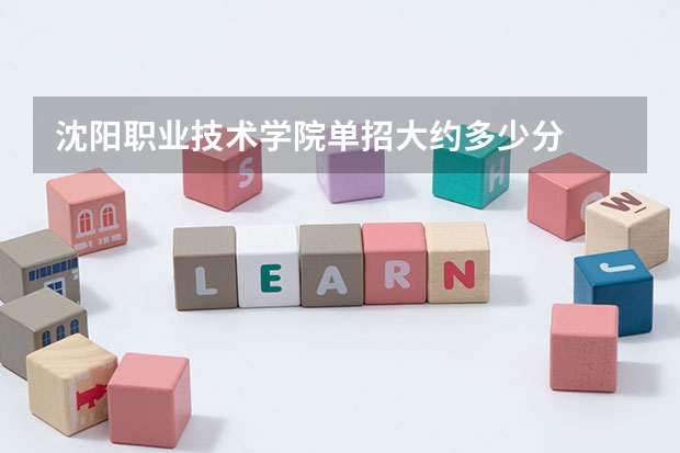 沈阳职业技术学院单招大约多少分